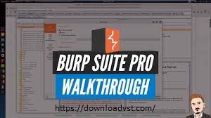Burp Suite Pro Crack